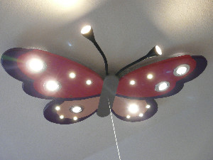 F&uuml;hler & Strahler